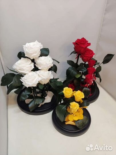 Роза в колбе оптом и в розницу