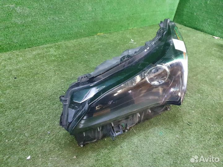 Фара левая Lexus NX200/NX200t/NX300/NX300h