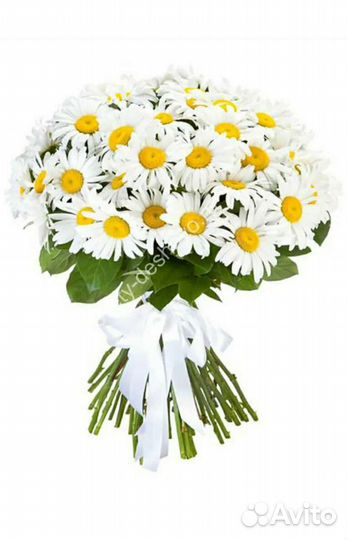 Ромашки корни, нарциссы, гладиолусы, тюльпаны