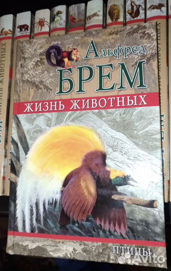 Альфред Брем. Жизнь животных