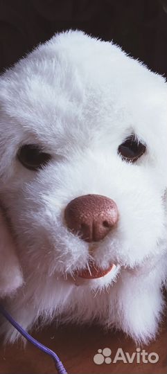 Интерактивная собачка