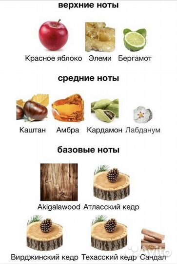 Духи tommy impact intense