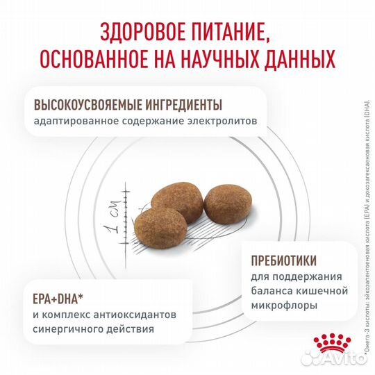 Royal Canin (вет.корма) сухой для кошек для профил