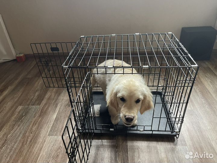 Вольер для собак
