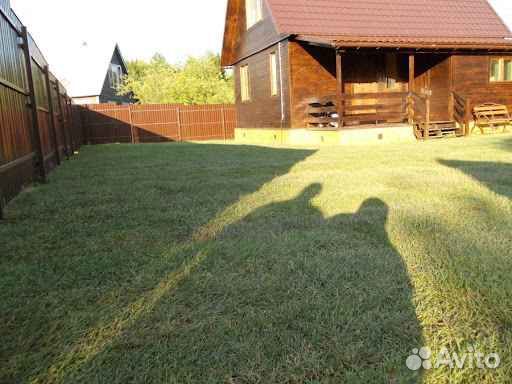 Рулонный газон напрямую от производителя