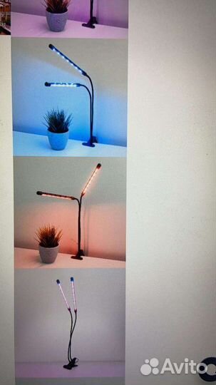 Фито лампы для Теплиц и растений