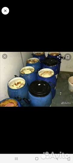 Пищевые отходы для животных