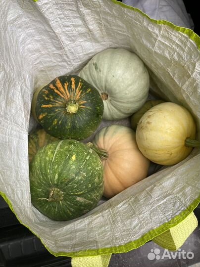 Тыква желтая зеленая