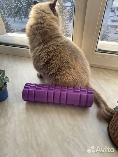 Новый рол миофасциальный