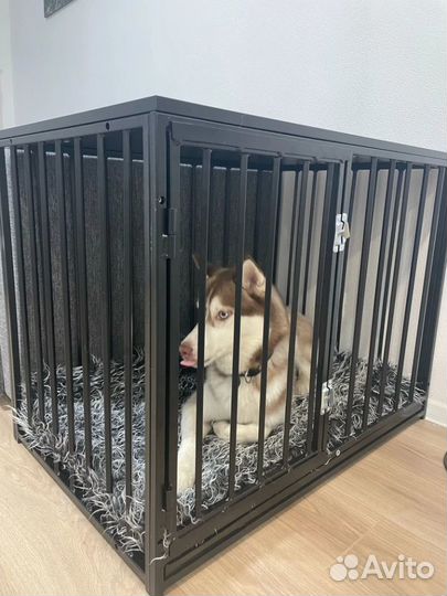 Клетка для собак V2