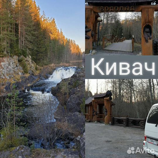 Пассажирские перевозки микроавтобус