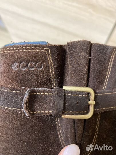 Сапоги зимние женские Ecco