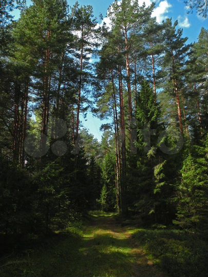 Участок 14 сот. (ИЖС)