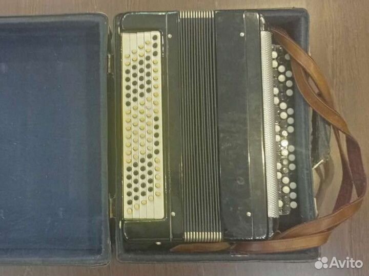 Баян тульский терка