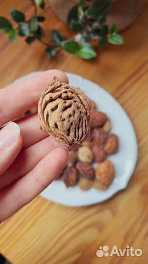 Персиковые косточки - Природные материалы