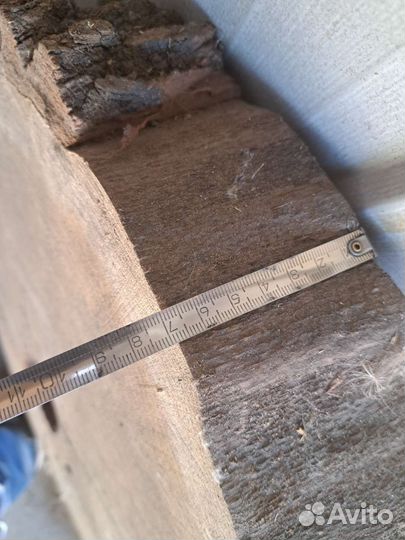 Спил дуба сухой