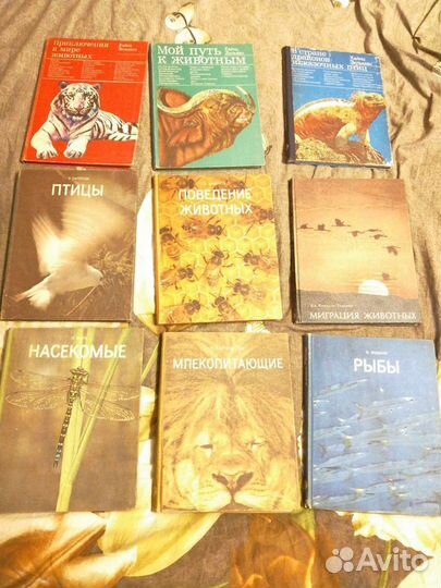 Серия книг о животных