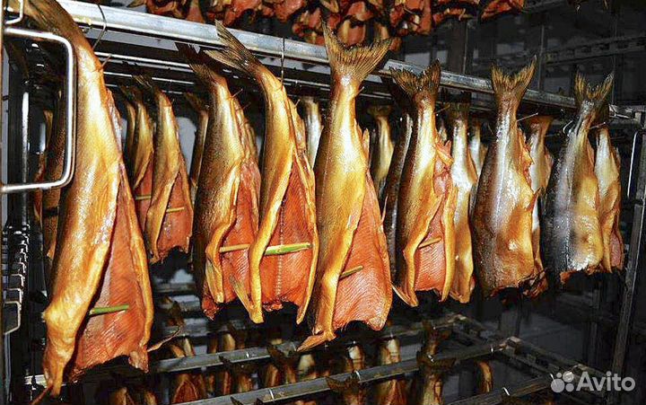 Рыба копчёная. Рыба вяленая