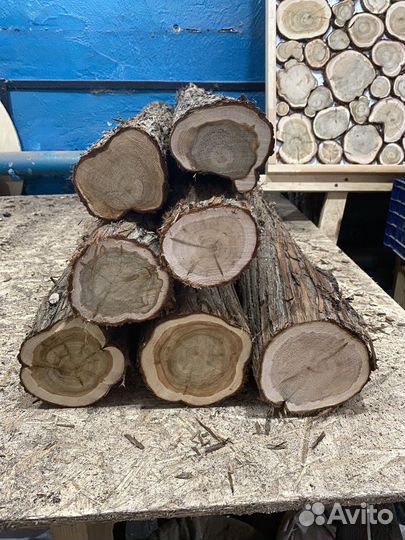 Можжевельник