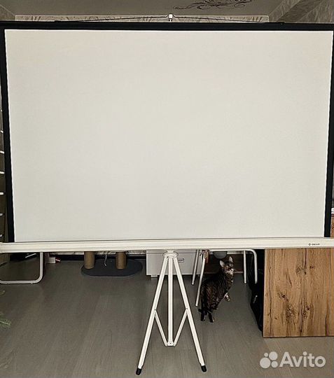 Аренда проектора