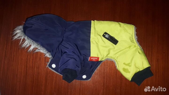 Одежда для маленькой собаки