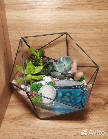 Флорариум в подарок на 8 марта