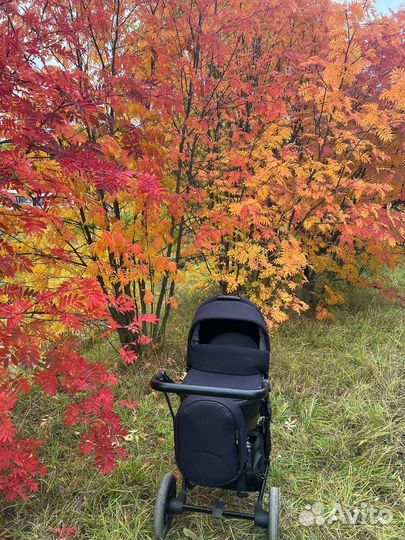 Коляска 2 в 1 anex m type