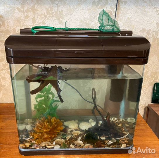 Аквариум с рыбками