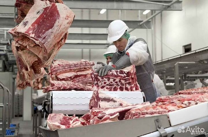 Ищу партнера в бизнес, доход 17154 в мес