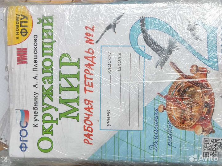 Рабочая тетрадь 2 класс окружающий мир