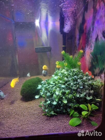 Декорации для аквариума грот