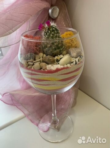 Флорариум суккуленты, подарок