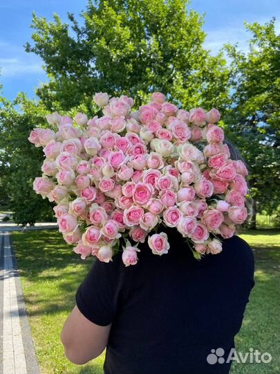 Кустовые розы 