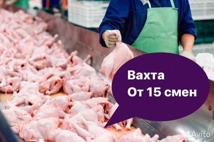 Вахта от 15 смен Белгород Питание Упаковщик-ца