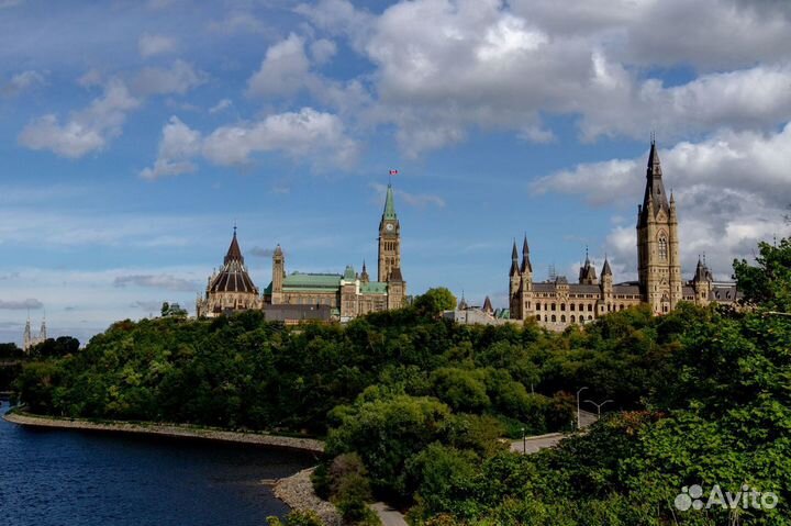 Английский с носителем