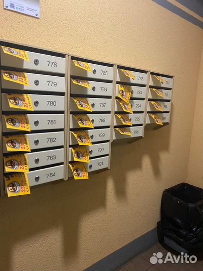 Распространение листовок по почтовым ящикам