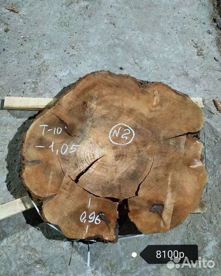 Торцевые спилы ивы камерной сушки