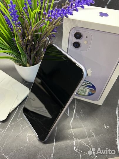 iPhone 11 (64 GB) Purple