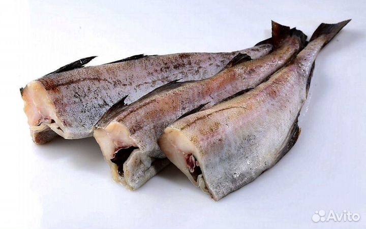 Минтай свежмороженный РФ