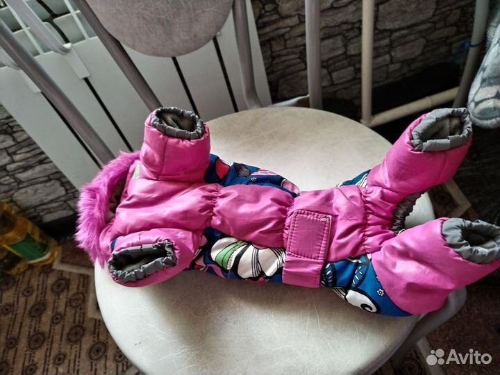 Одежда для щенка той терьера