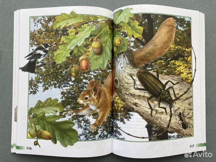 А. А. Плешаков, А. А. Румянцев 