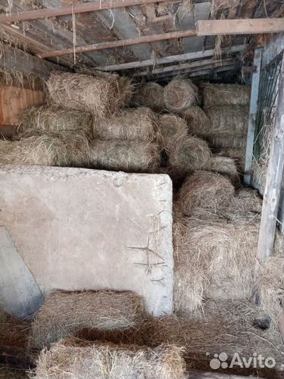 Сено в мини рулонах