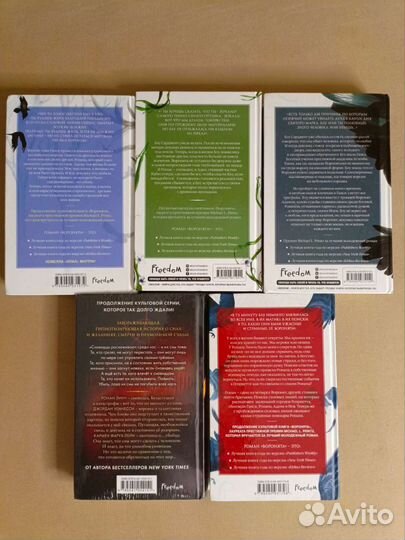 Мэгги Стивотер, Нора Сакавич