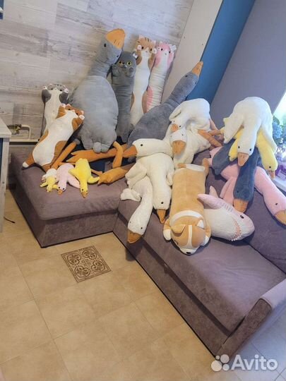 Кот Батон, кот с пледом, гуси, акула, Корги