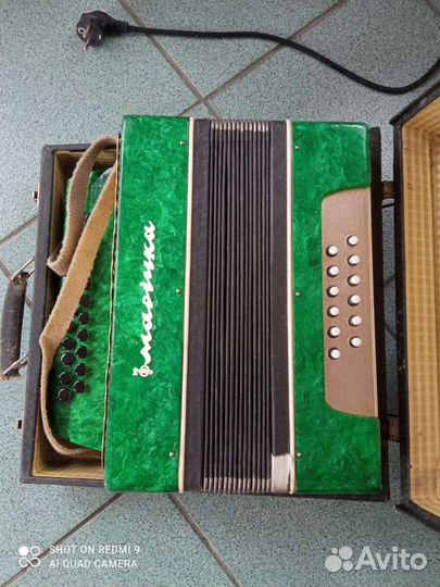 Гармонь Маричка