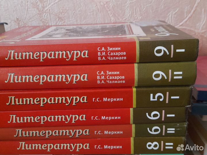 Литература 9 класс Зинин,Меркин