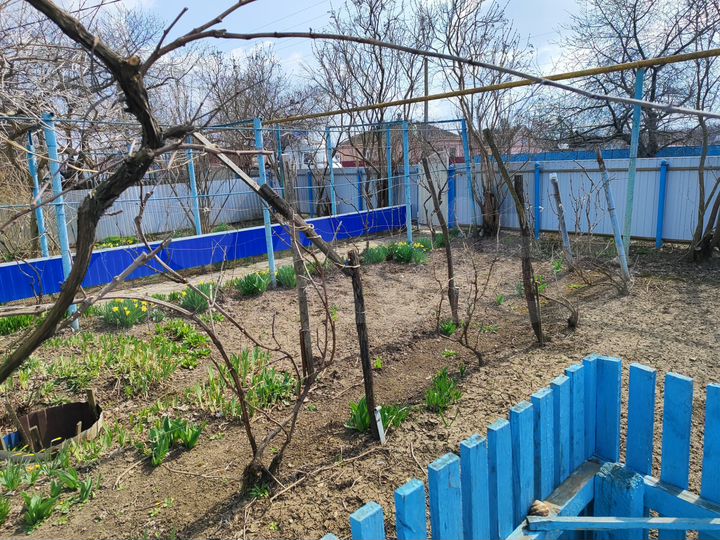 Дом 100 м² на участке 20 сот.