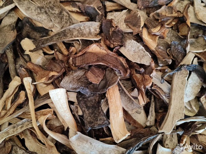 Грибы красноголовики сухие