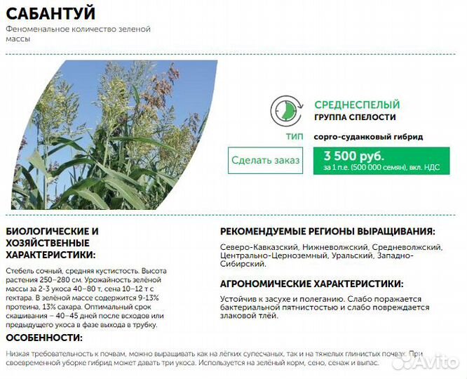 Сорго зерновое сахарное сорго-суданковые гибриды