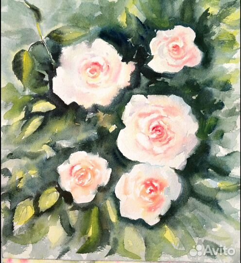 Розы акварелью